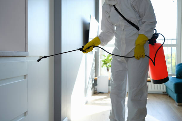 Best Professional Mold Removal  in Riverdale Park, CA